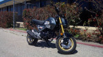 2024 Honda® Grom