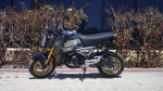 2024 Honda® Grom