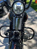 harley davidson crossbones