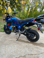 TaoTao Hellcat 125cc