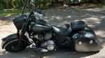 Indian Chief Darkhorse