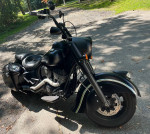 Indian Chief Darkhorse