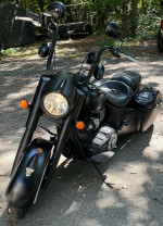 Indian Chief Darkhorse