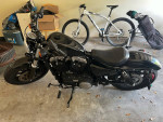 Harley Davidson Sportster 48