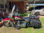 Beautiful Harley