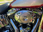 Beautiful Harley