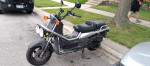 2006 Honda Big Ruckus