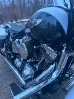 Harley Davidson Softail