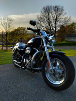 Harley Davidson Screaming Eagle 1200 $6,800 obo
