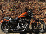 2020 Harley-Davidson Sportster XL883N - Iron 883 V Twin 883