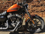 2020 Harley-Davidson Sportster XL883N - Iron 883 V Twin 883
