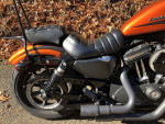 2020 Harley-Davidson Sportster XL883N - Iron 883 V Twin 883