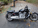 Harley Davidson, V Rod muscle VRSC