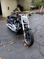 Harley Davidson, V Rod muscle VRSC