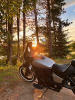 2015 Honda Shadow Phantom