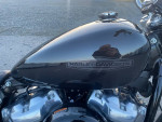 2022 HARLEY DAVIDSON SOFTAIL STANDARD FINANCING AVAILABLE