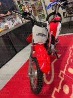 2021 HONDA CRF110F