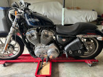 Harley Davidson XL883L Sportster