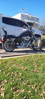 2009 Harley Sportster low miles