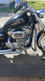 2009 Harley Sportster low miles