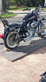 2009 Harley Sportster low miles