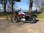 2020 Triumph Bonneville T100 Bud Ekins