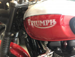 2020 Triumph Bonneville T100 Bud Ekins