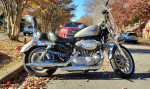 2009 Harley Sportster 883