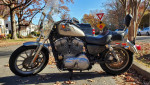 2009 Harley Sportster 883
