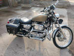 2002 Harley Davidson Sportster XL1200 Custom