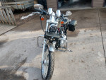 2002 Harley Davidson Sportster XL1200 Custom