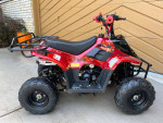 Kids ATV 110cc