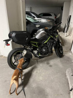 2020 Z900ABS Fully Loaded w Custom Dog Carrier