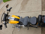 2000 Harley-Davidson heritage softail