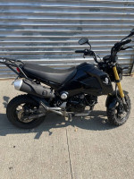 2014 Honda Grom