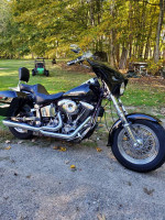86 softtail FXSTC
