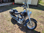 2009 Harley-Davidson Softail Deluxe - Black