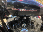 2006 Harley Sportster XL 1200C