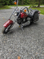 1994 Harley Davidson 1340 Custom Softtail