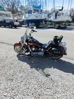 2008 Harley Davidson Softail deluxeSoftail Deluxe.