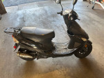 TaoTao 50 Moped Scooter