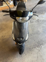 TaoTao 50 Moped Scooter