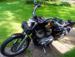 2006 Harley Davidson Sportster XL883L