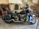 Harley