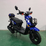🛵 Maximo 50cc Scooter - Stylish and Efficient Riding!