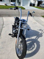 Harley Davidson Softail
