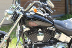 2008 Harley Soft Tail Custom