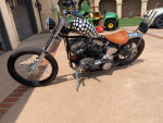 Harley bobber custom bike 100 miles