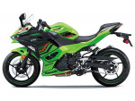 2024 Kawasaki Ninja 500 KRT Edition Sport