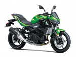 2024 Kawasaki Z500 ABS Parallel Twin 451